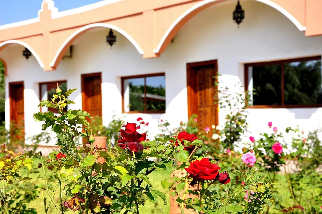 Riad Hamdani Derroua