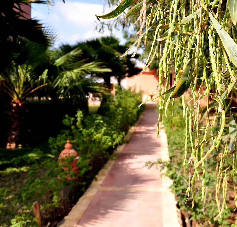 Riad Hamdani Derroua